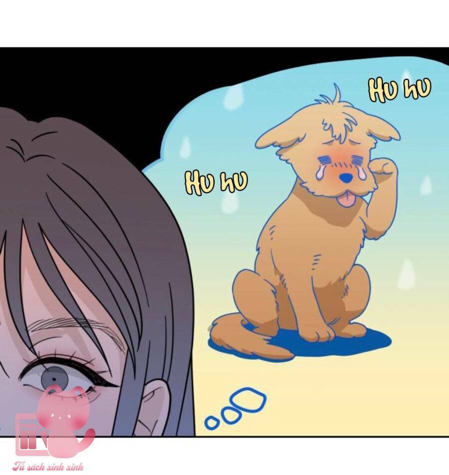 page_40.jpg