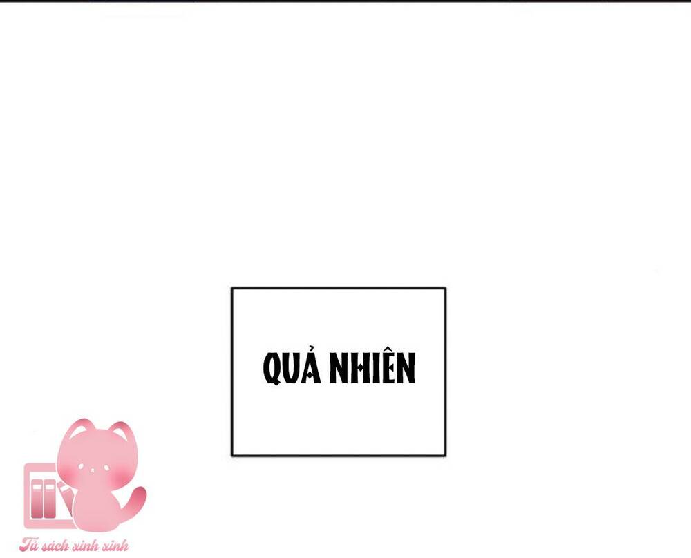 page_24.jpg