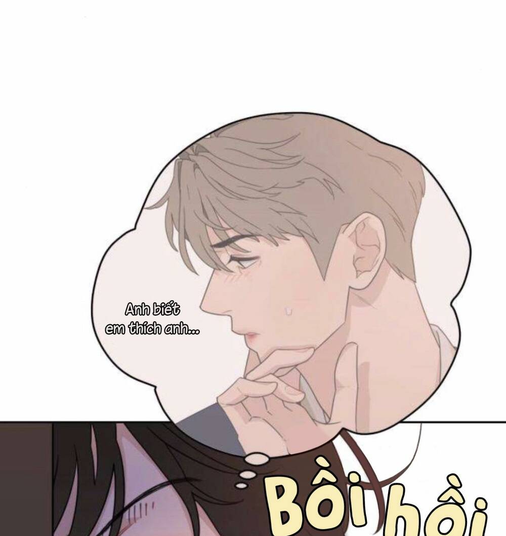 page_34.jpg