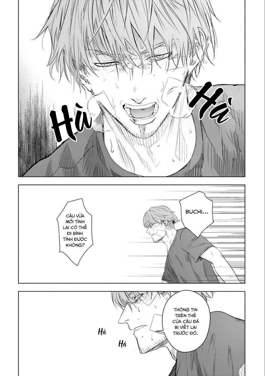 page_19.jpg