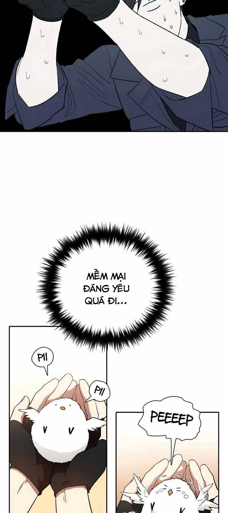 page_20.jpg