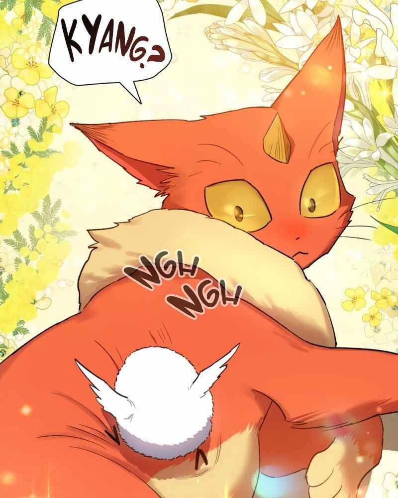 page_79.jpg