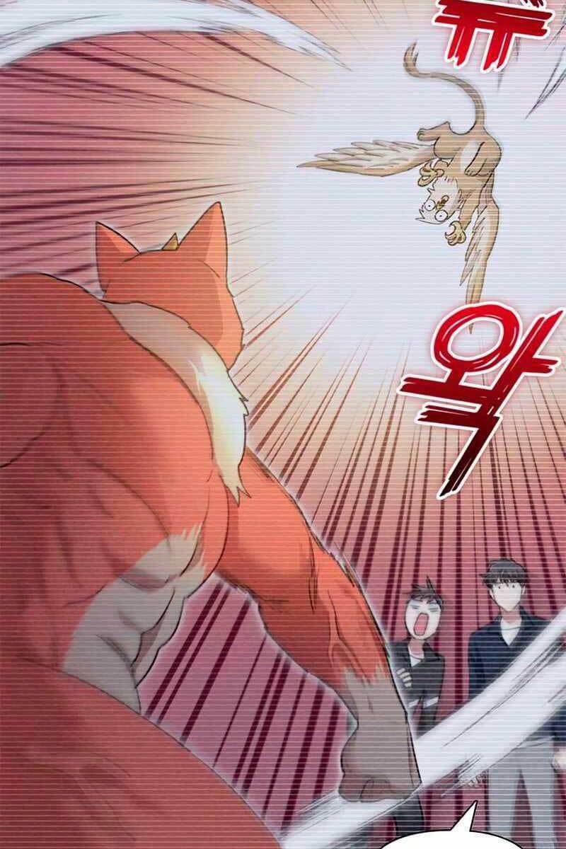 page_14.jpg