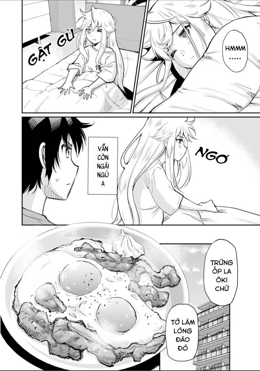 page_24.jpg