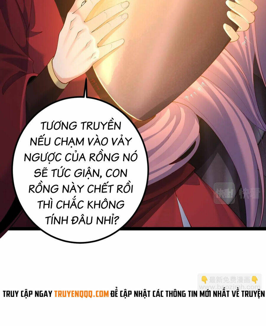 page_20.jpg