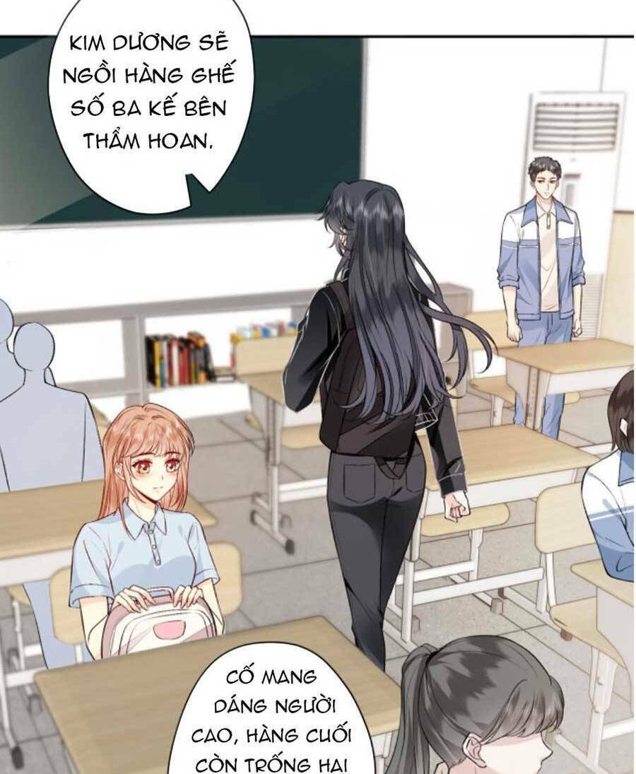 page_19.jpg