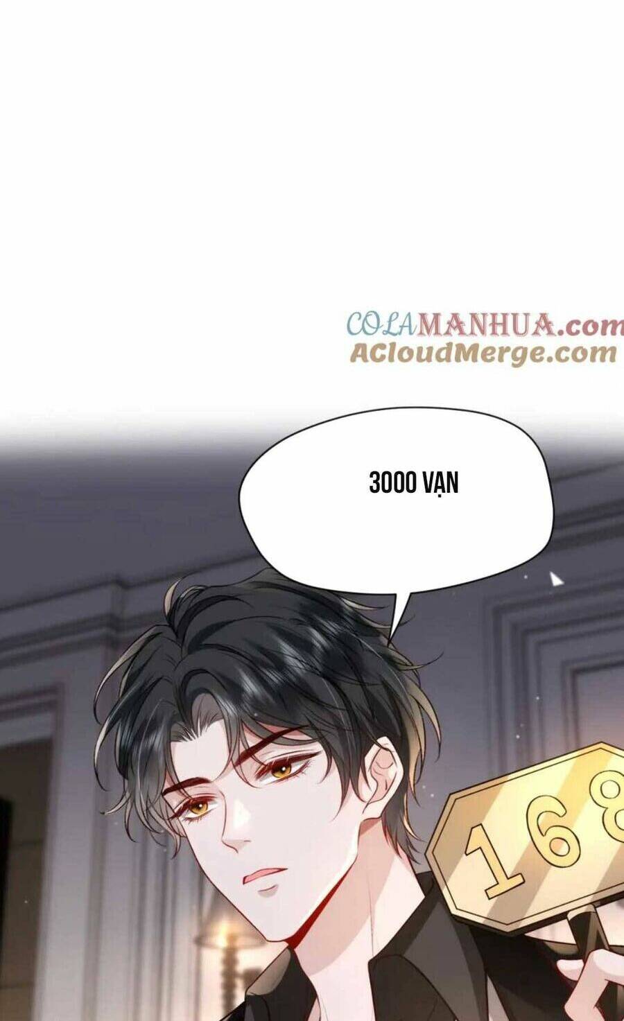 page_29.jpg