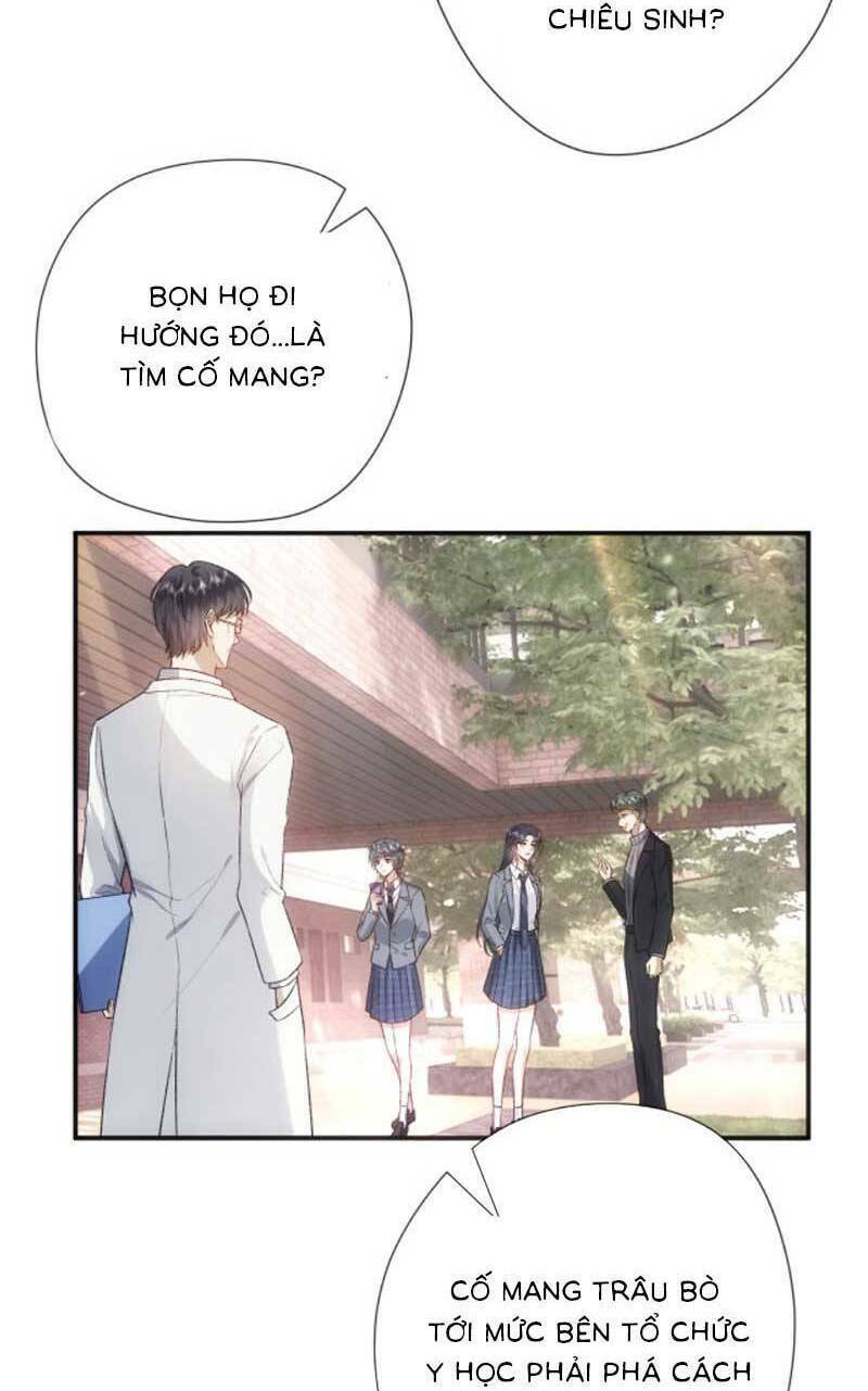 page_33.jpg