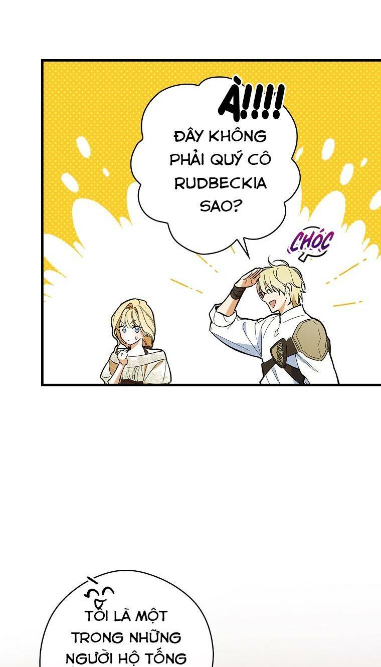 page_23.jpg