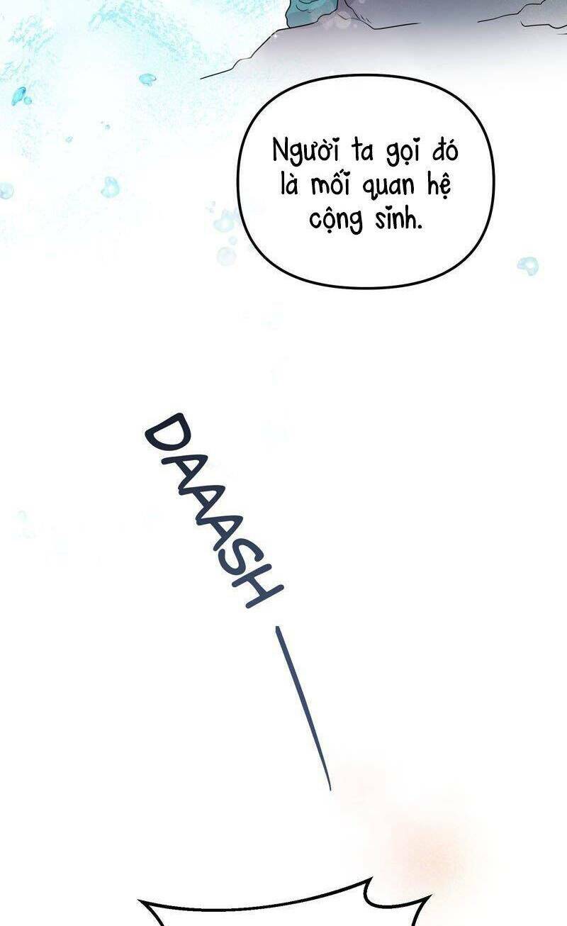 page_25.jpg