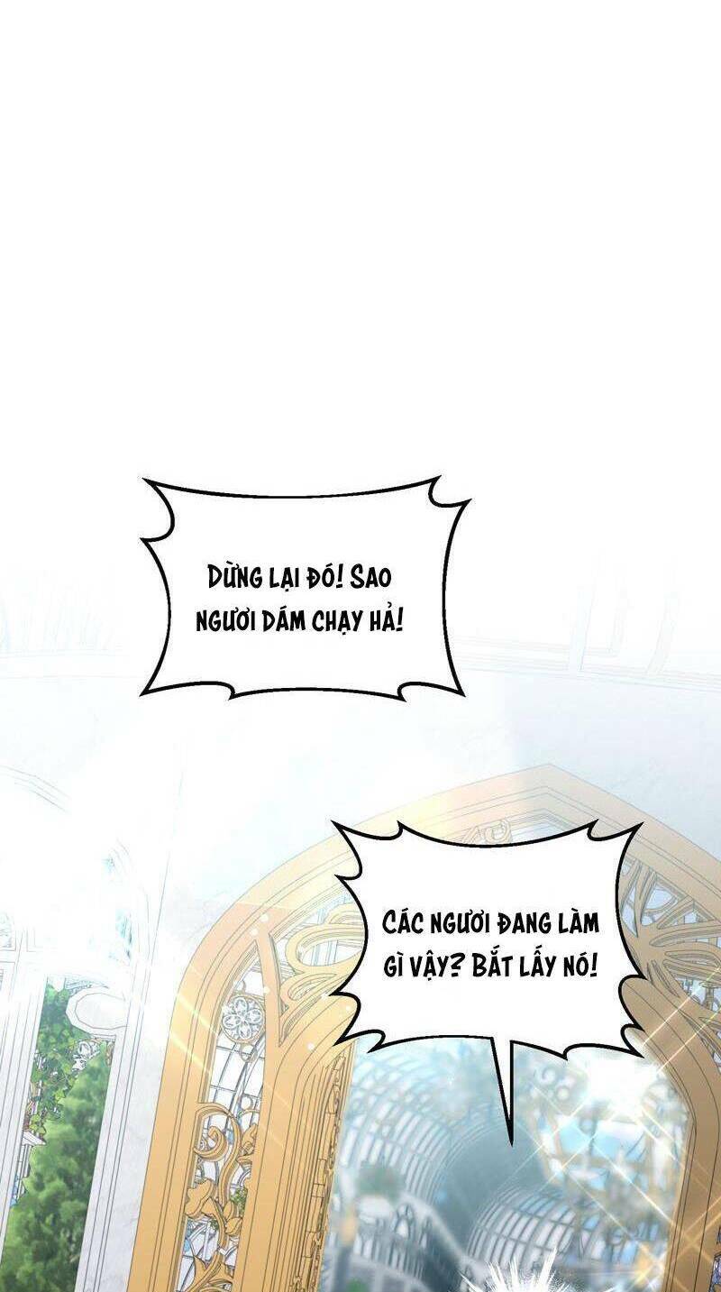 page_55.jpg