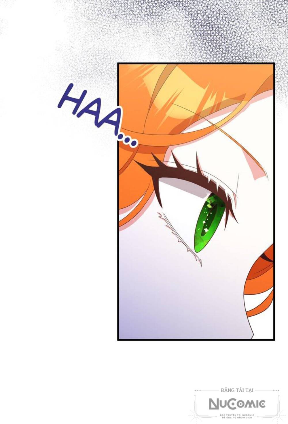 page_28.jpg