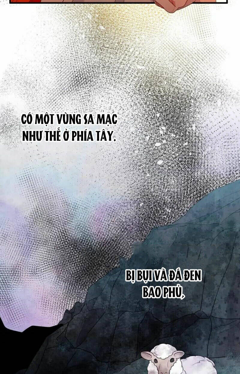 page_24.jpg