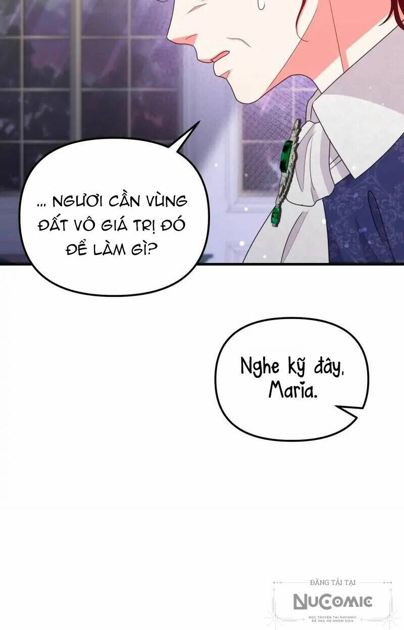 page_26.jpg