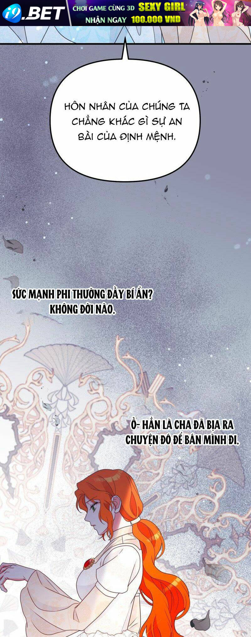 page_26.jpg