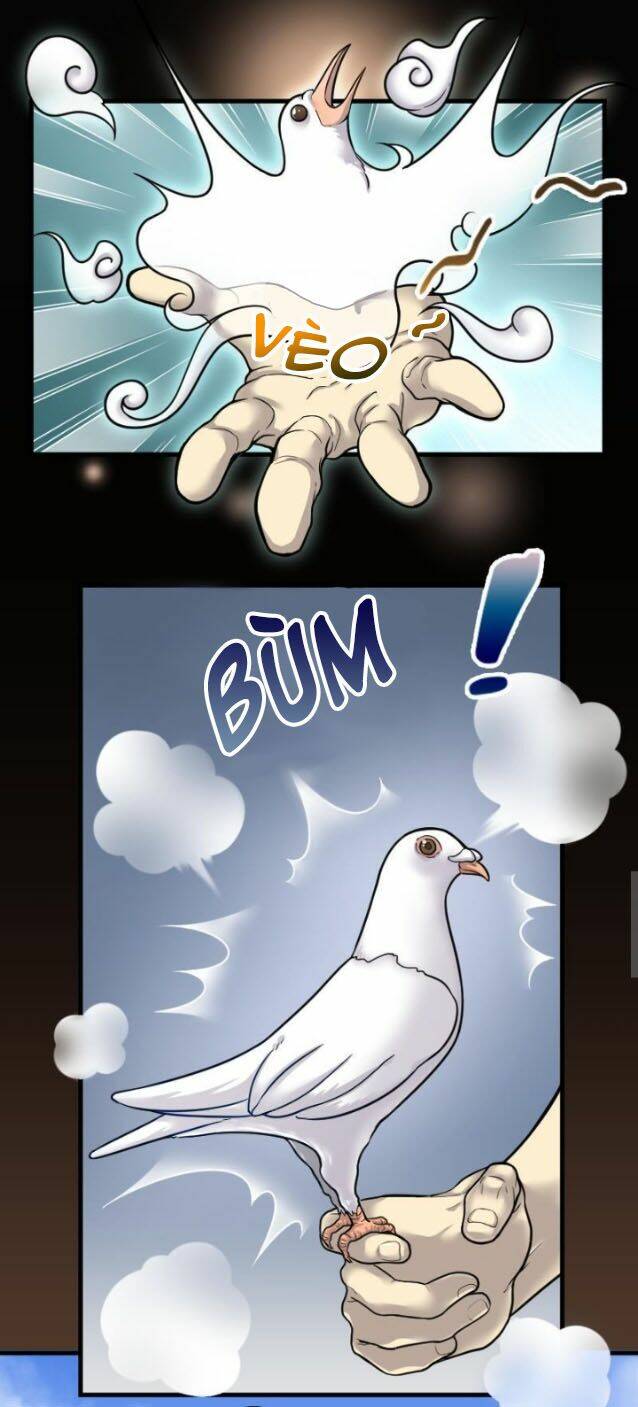 page_11.jpg