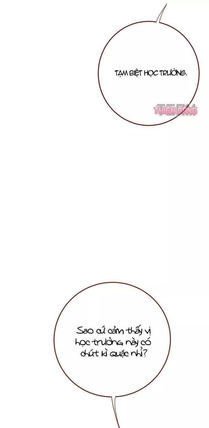 page_29.jpg