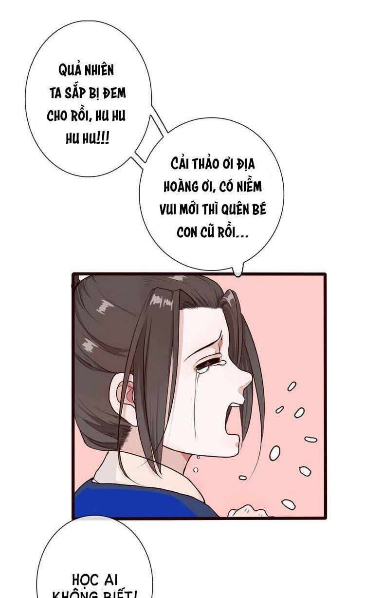 page_26.jpg