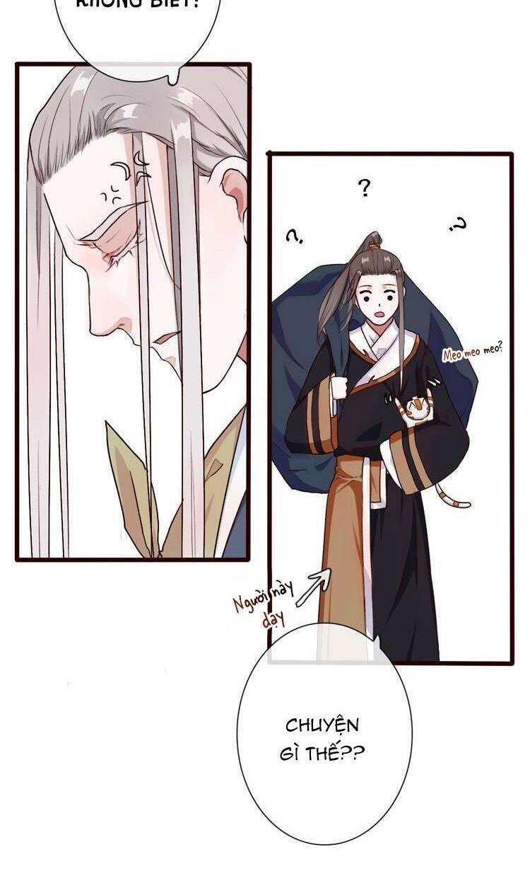 page_27.jpg
