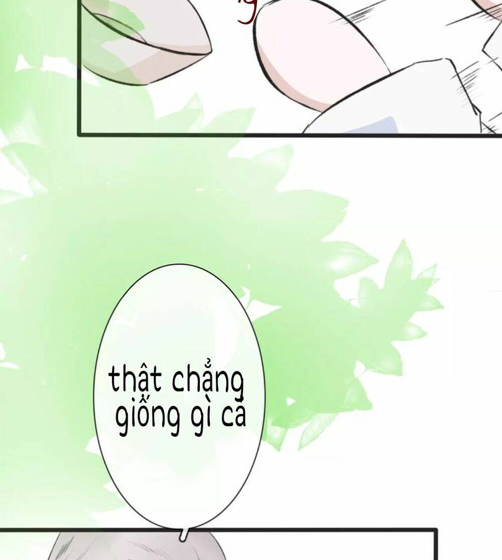page_16.jpg