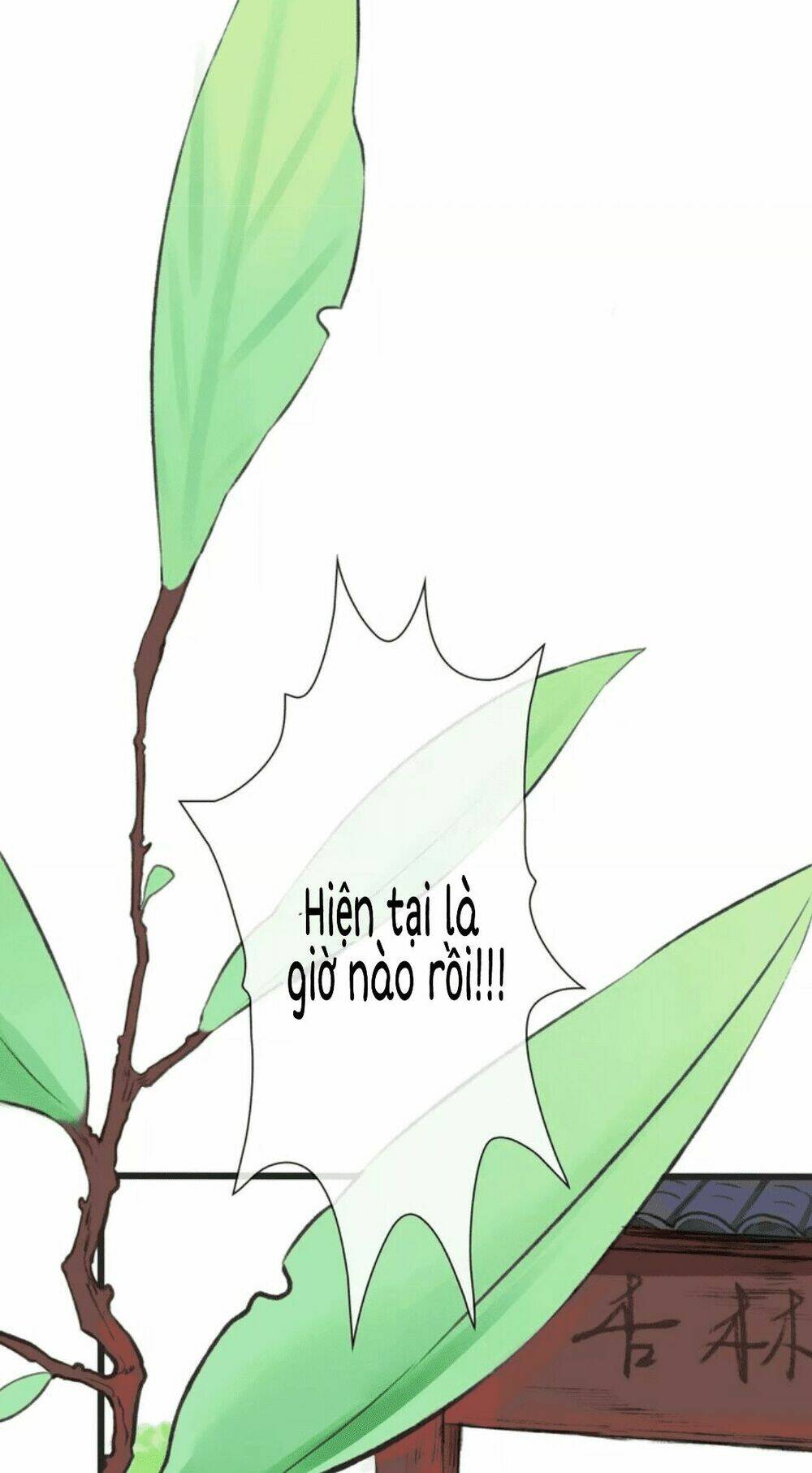 page_11.jpg