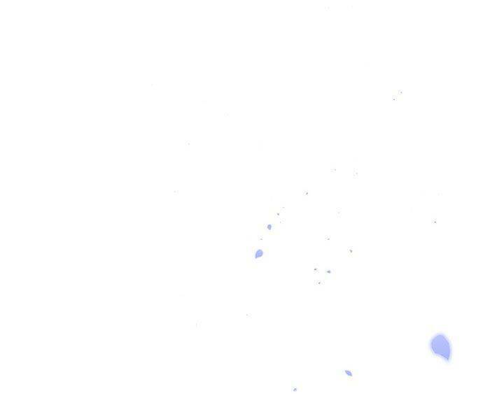 page_163.jpg