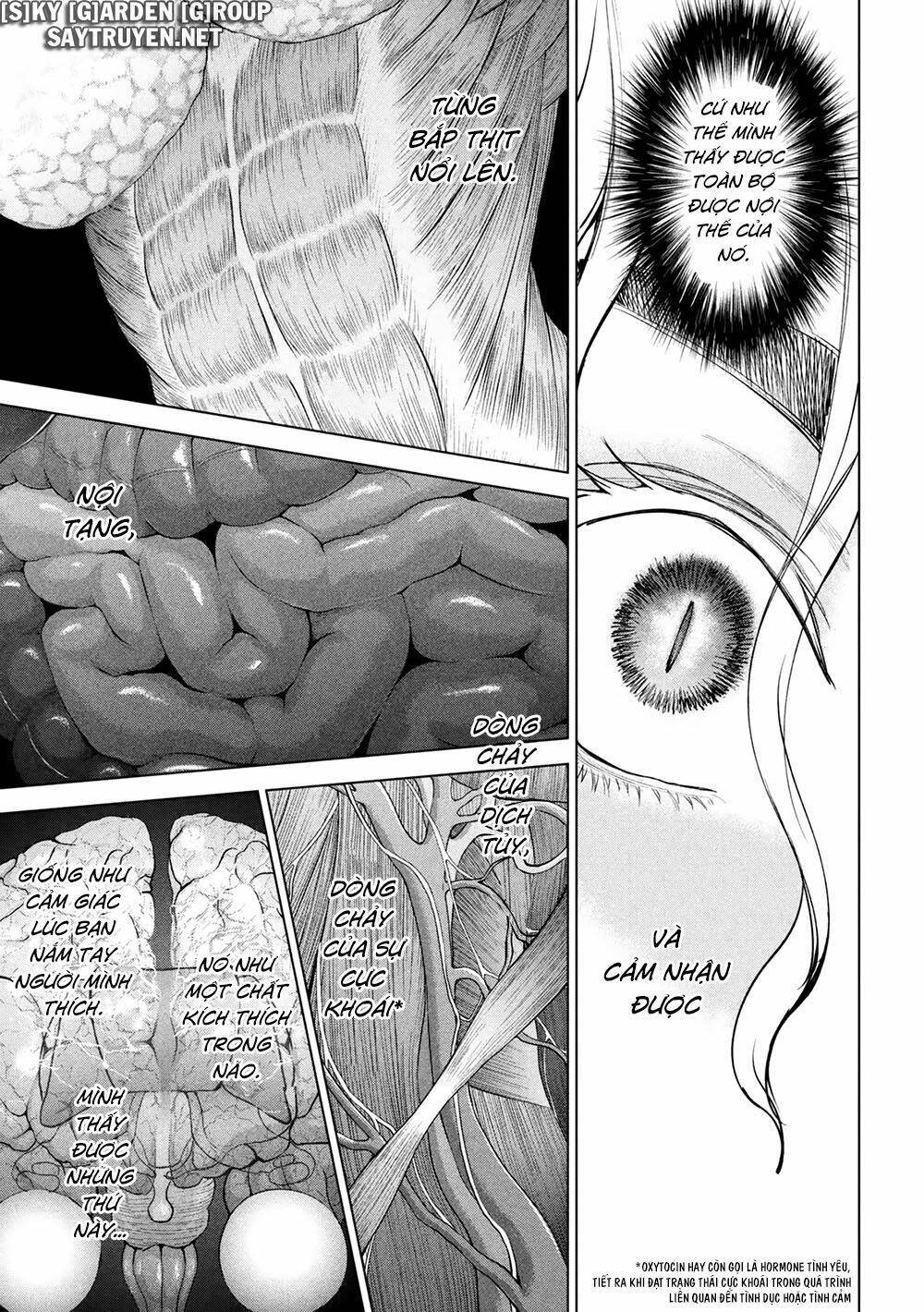 page_19.jpg