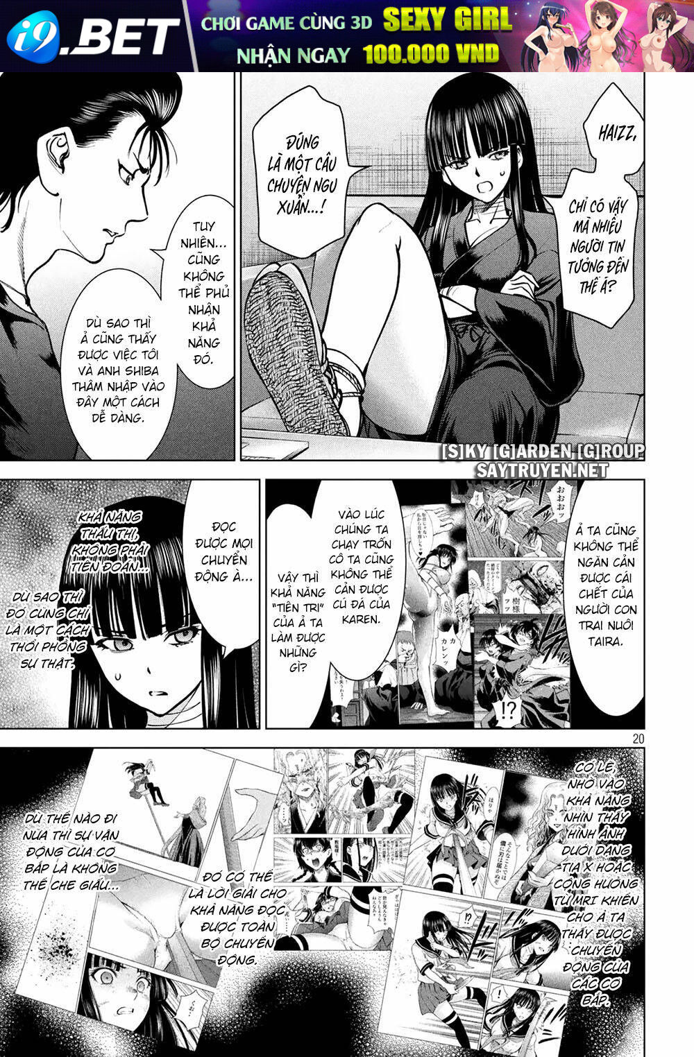 page_19.jpg