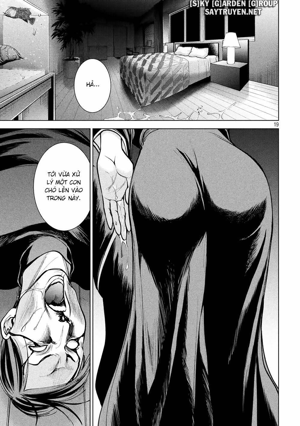 page_20.jpg
