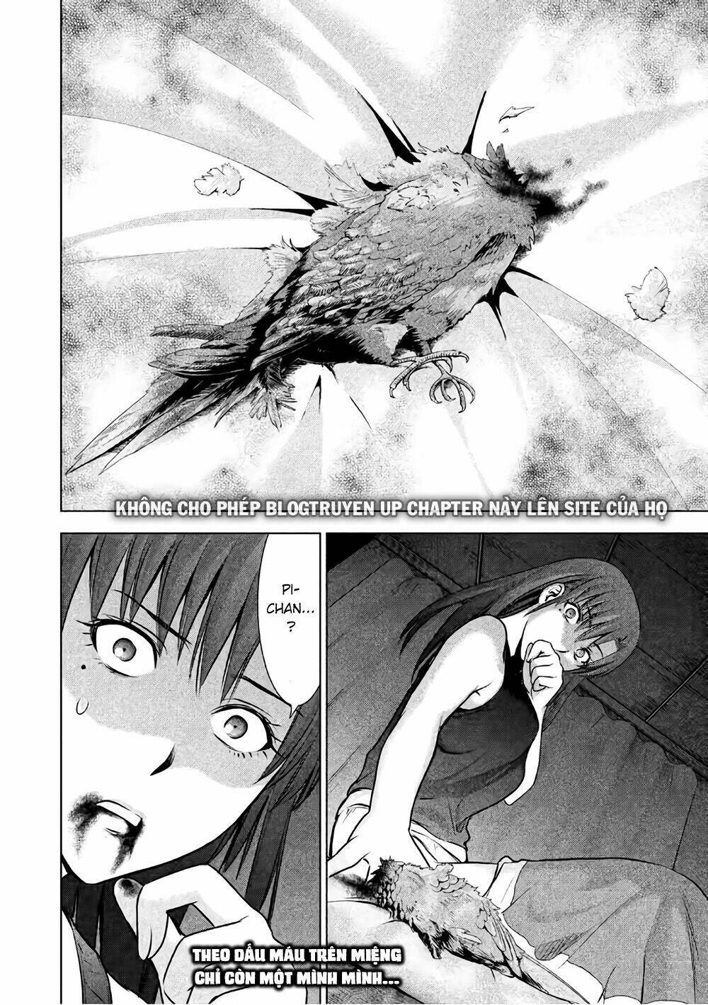 page_22.jpg