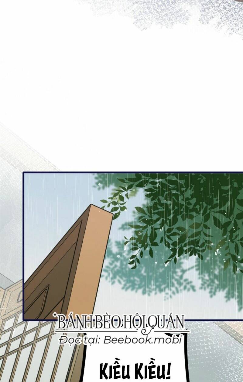 page_13.jpg