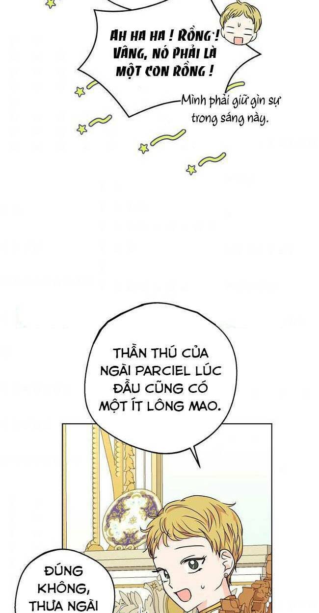 page_36.jpg