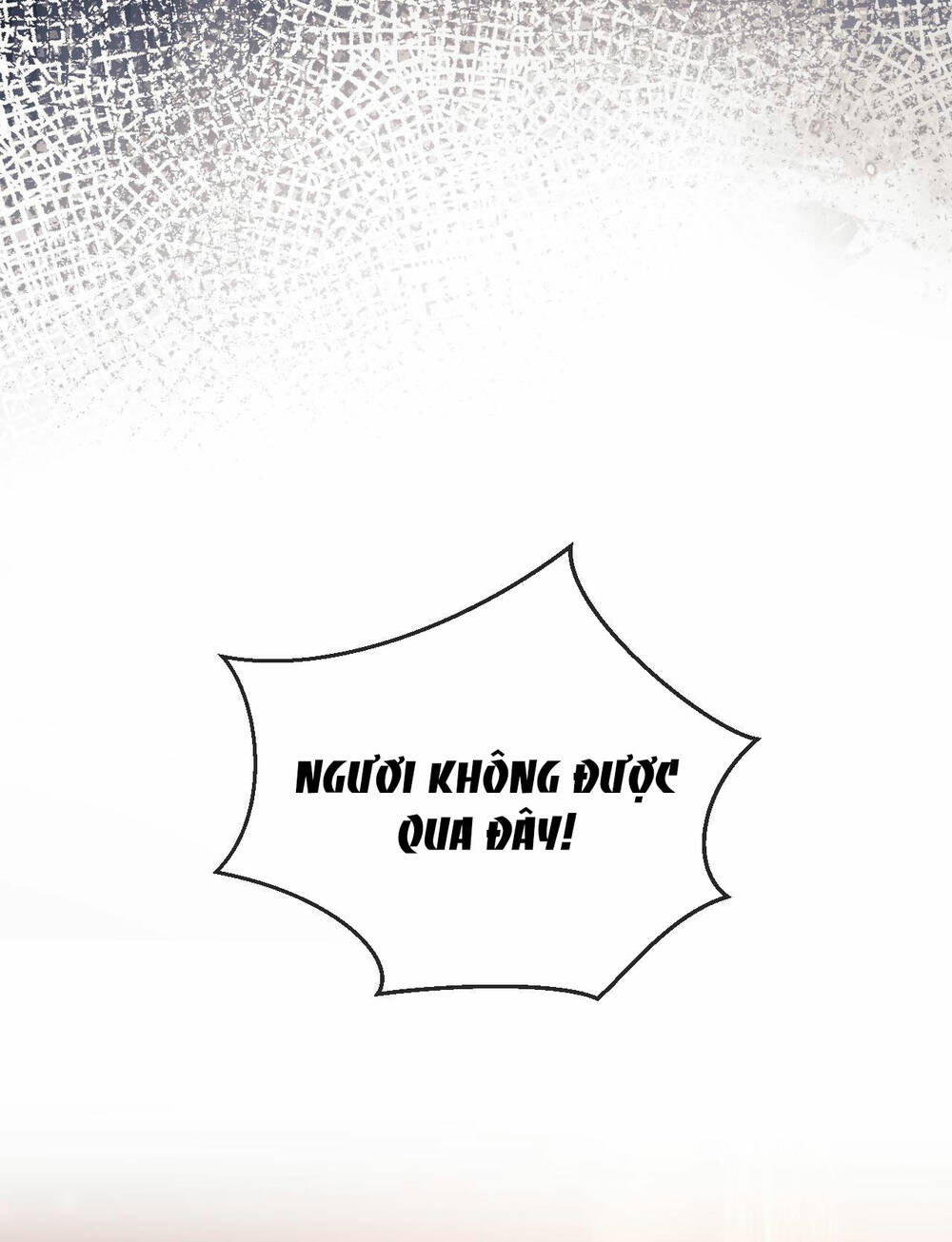 page_25.jpg