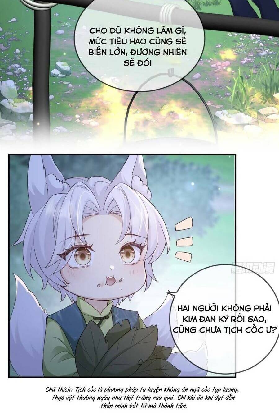 page_8.jpg