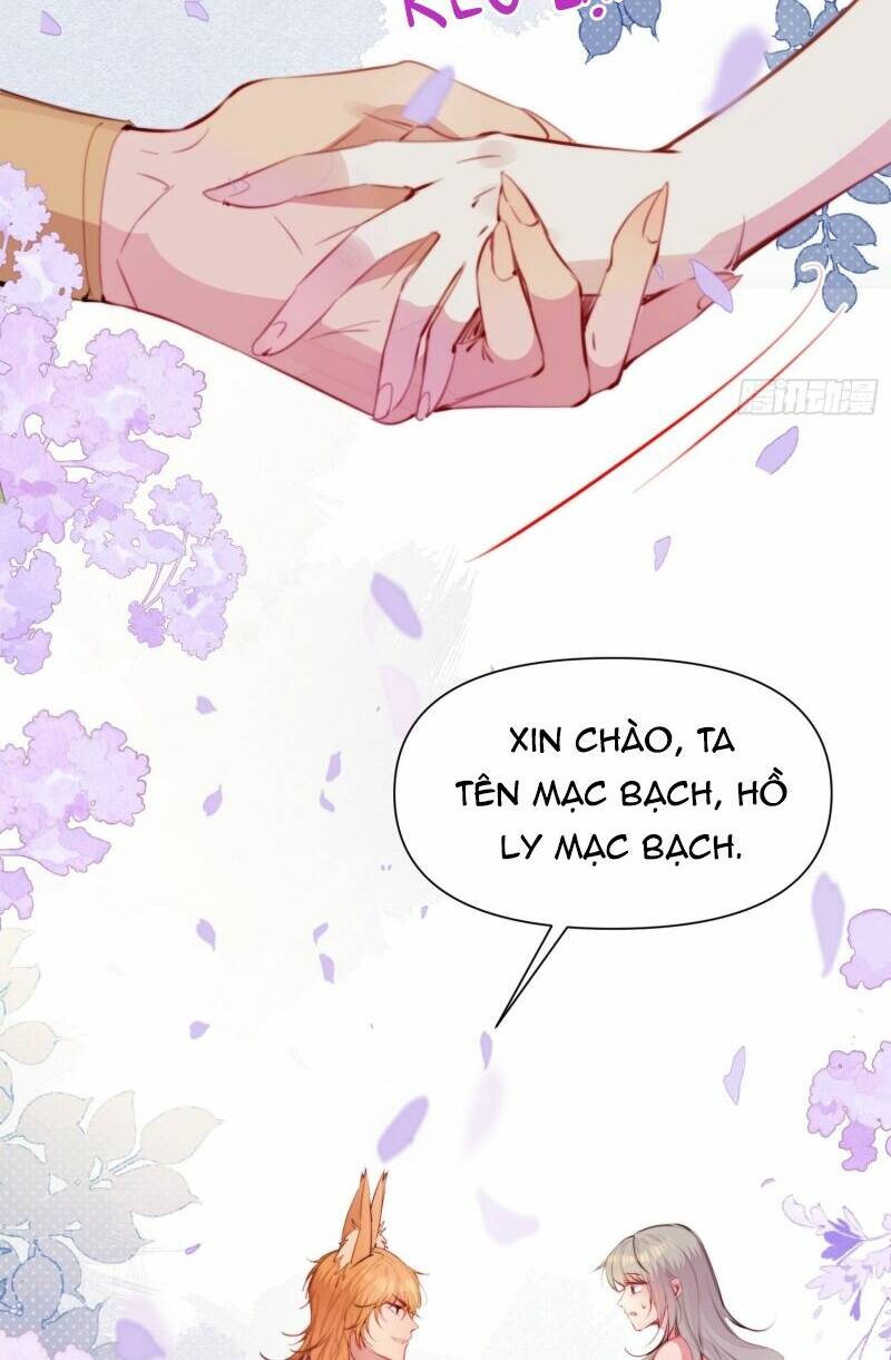 page_19.jpg