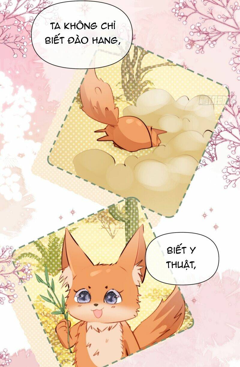 page_21.jpg
