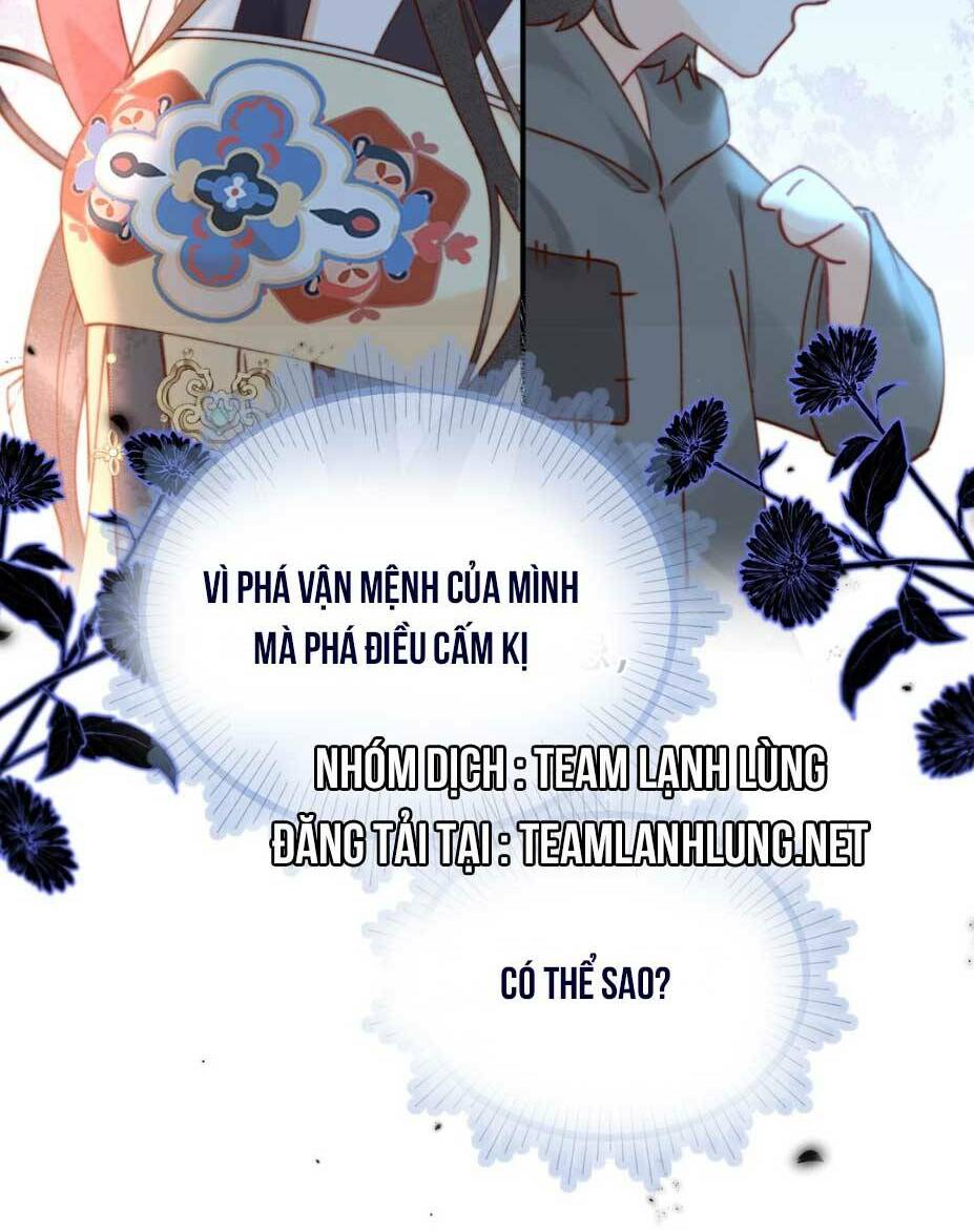 page_35.jpg