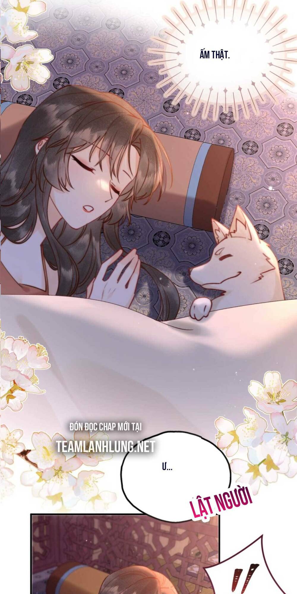 page_20.jpg