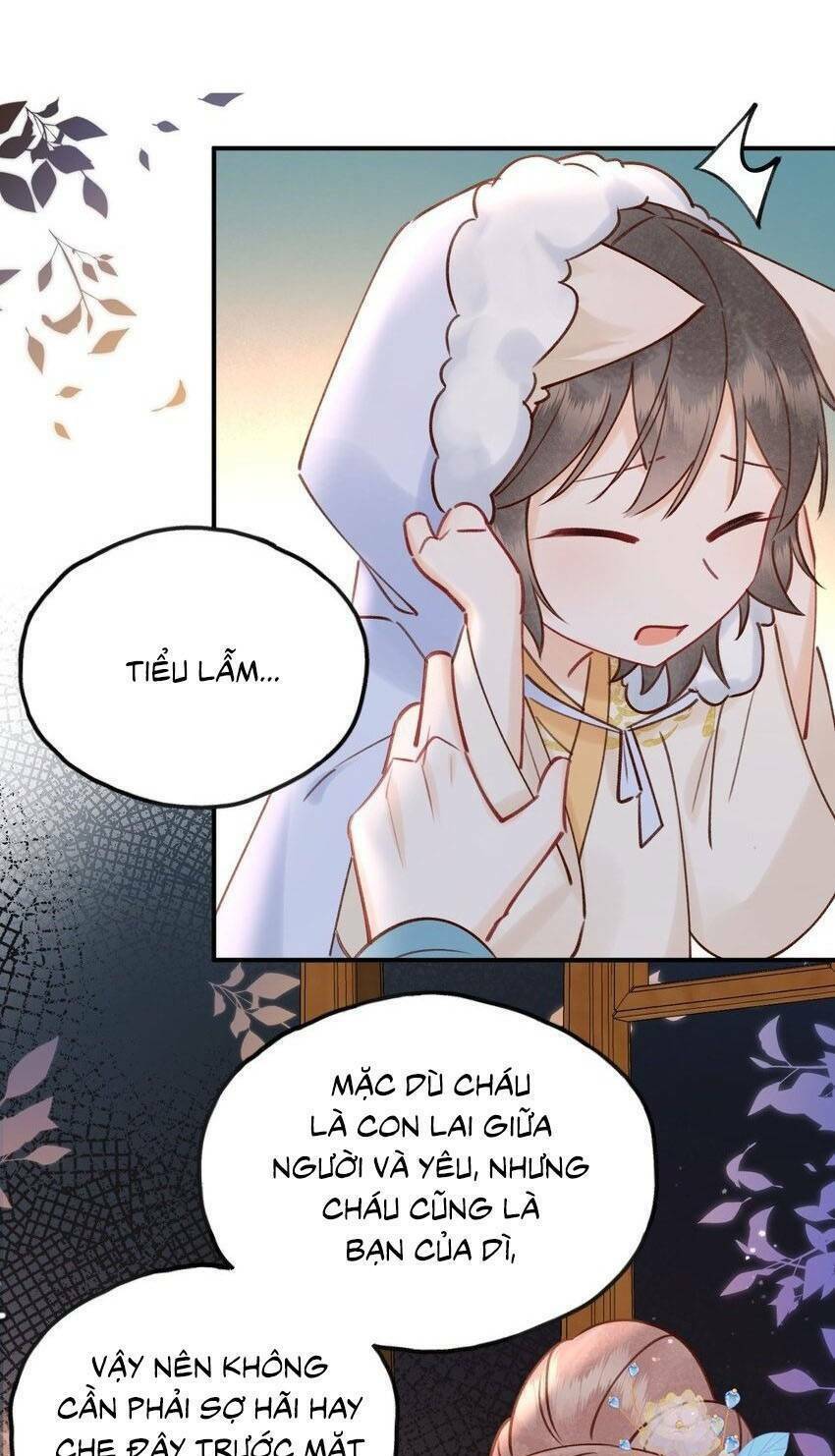 page_25.jpg