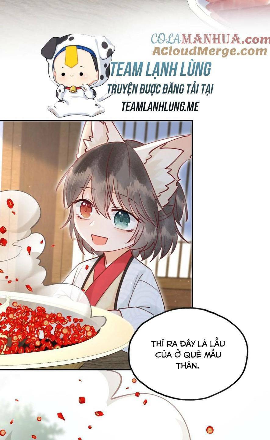 page_35.jpg
