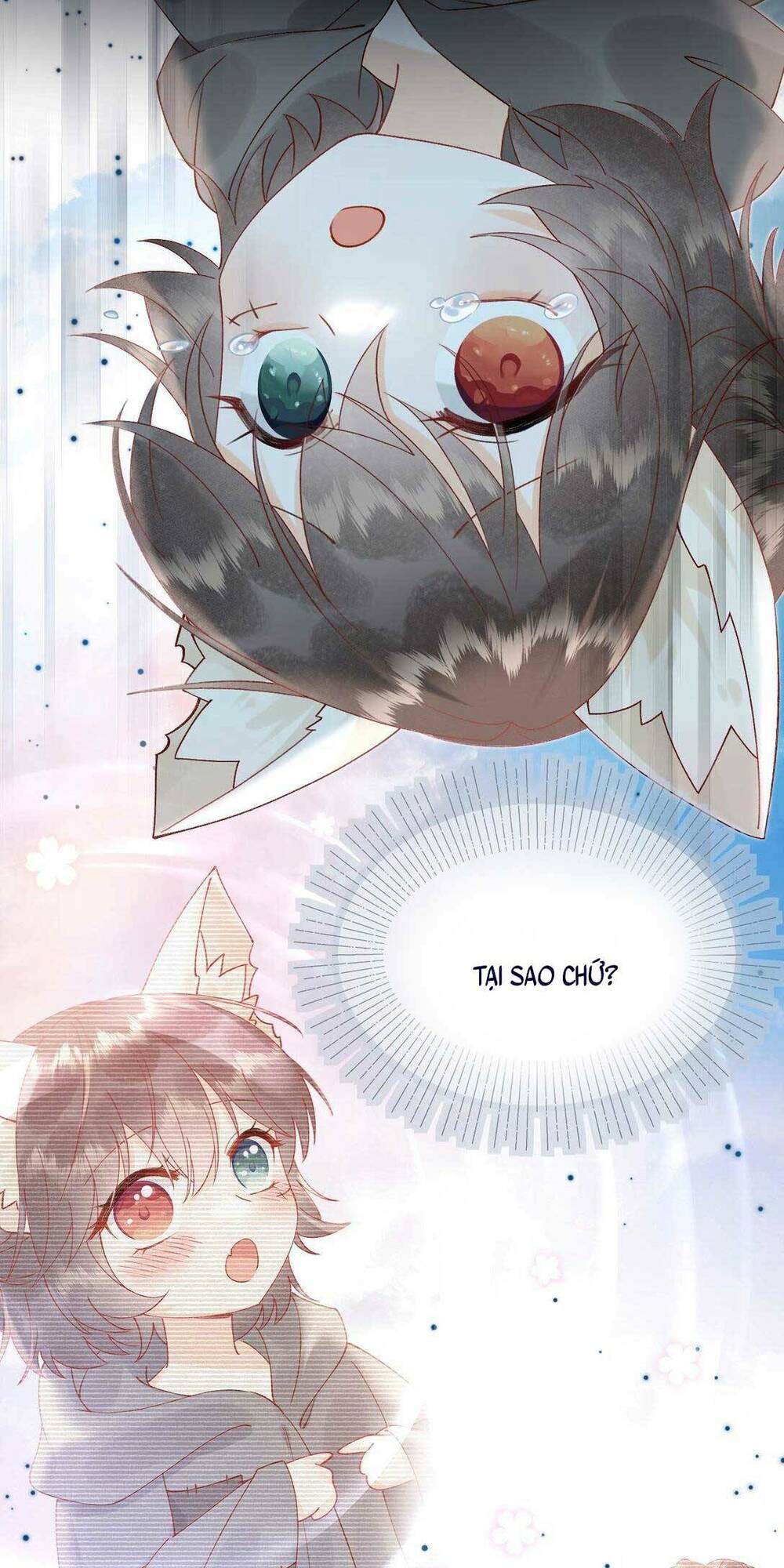 page_25.jpg