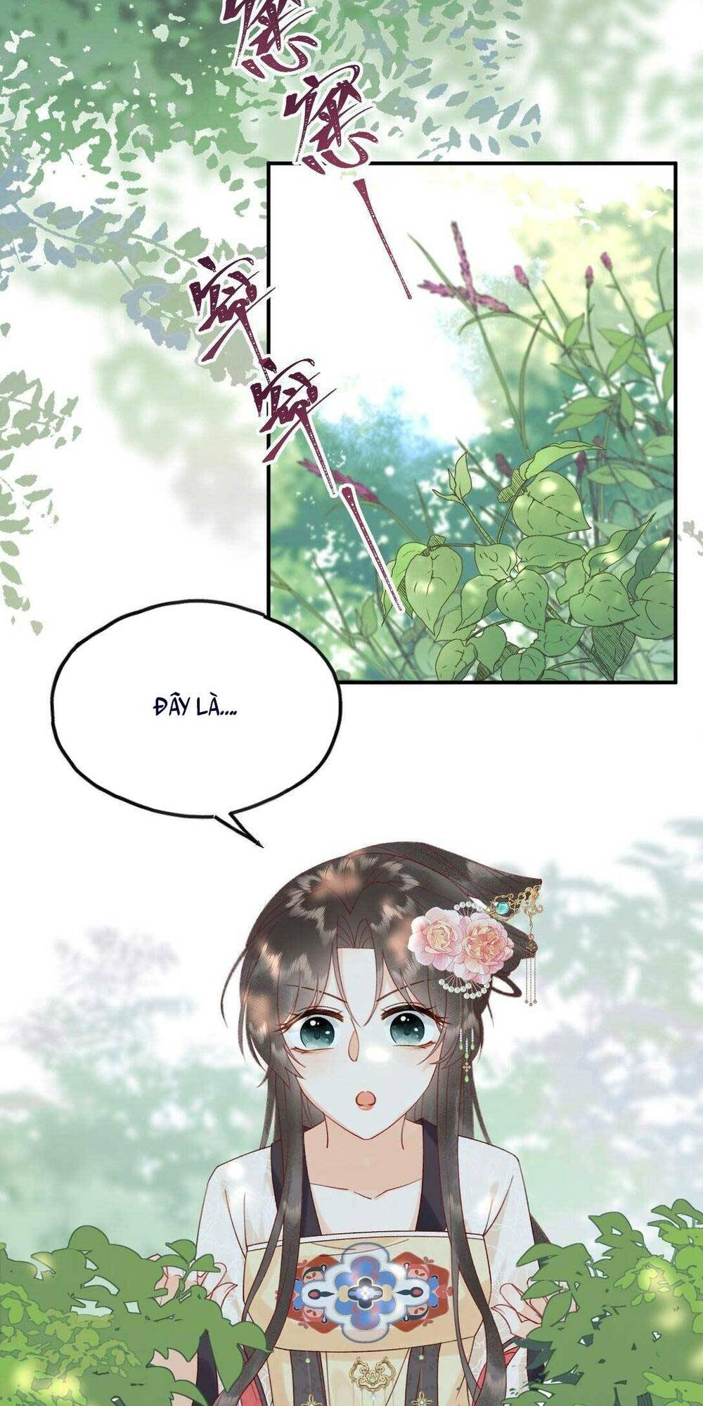 page_30.jpg