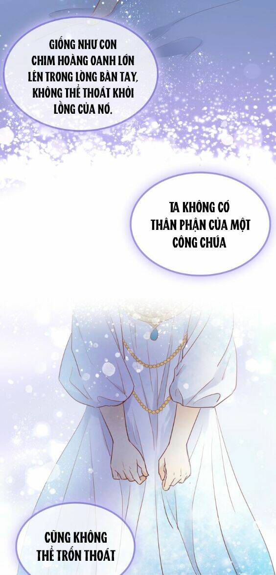 page_19.jpg