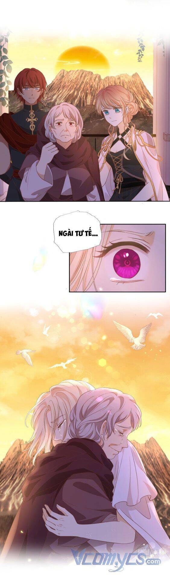 page_24.jpg