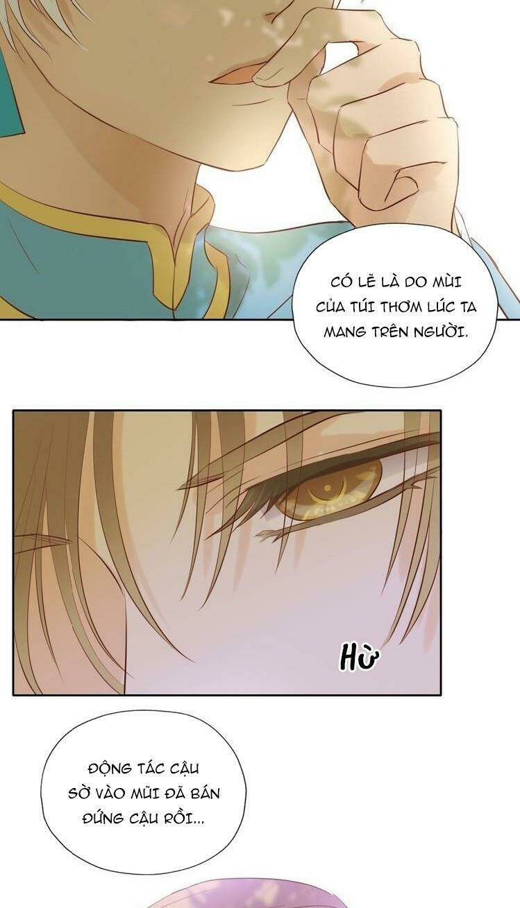 page_13.jpg