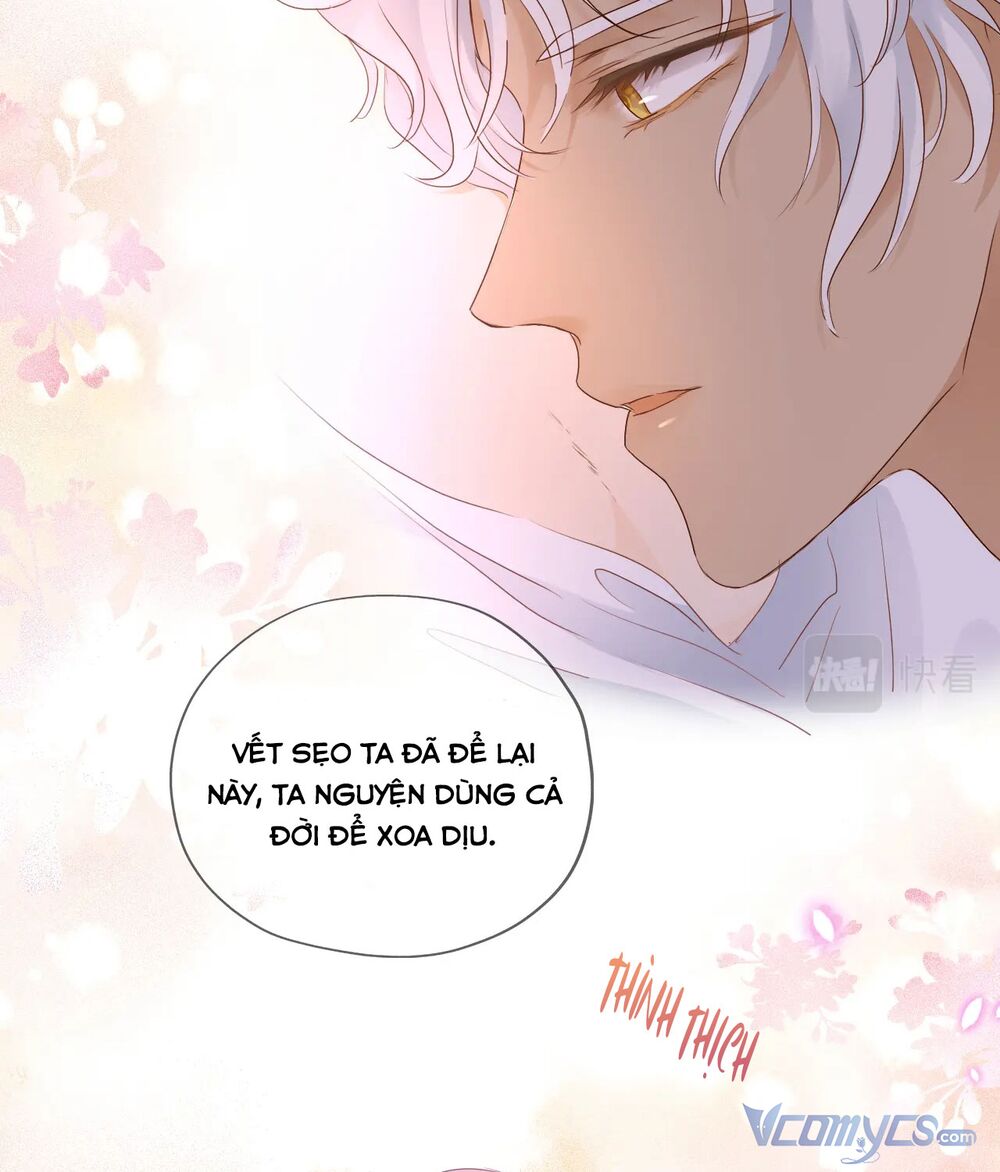 page_24.jpg