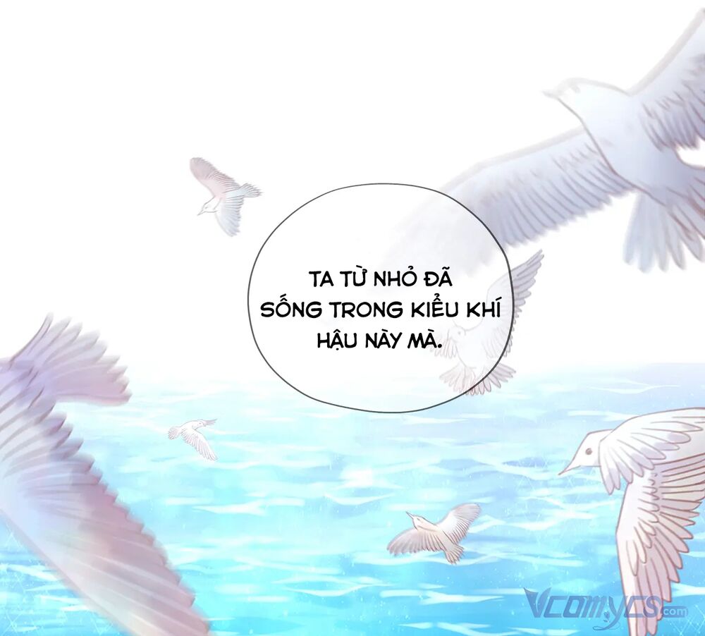 page_36.jpg