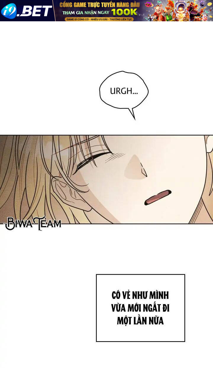 page_24.jpg