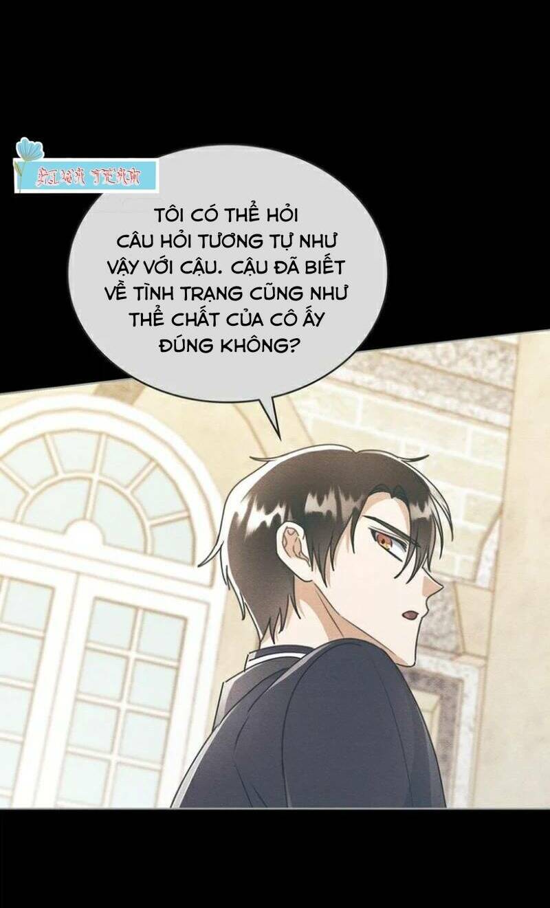 page_24.jpg
