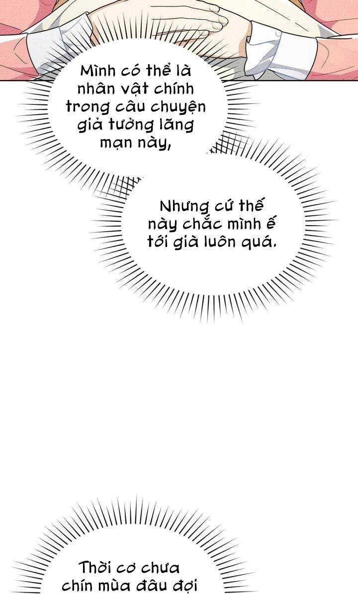 page_19.jpg